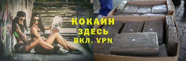 ALPHA PVP Карталы