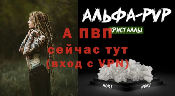 герыч Каменногорск