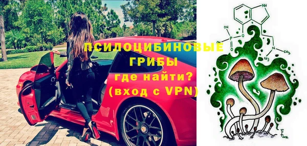 прущая мука Каменка