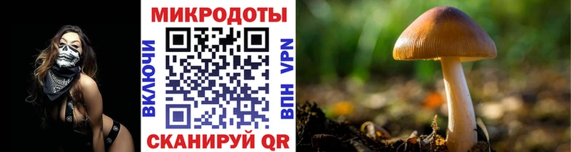 KRAKEN сайт  Моршанск  Галлюциногенные грибы Magic Shrooms  наркотики 